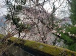 20190312_150121.jpg