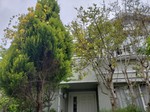 20190430_133650.jpg