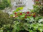 20190430_133603.jpg