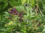 20190731_100730.jpg