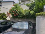20190731_110913.jpg