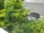 20190731_100646.jpg