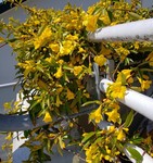 20200404_121513.jpg