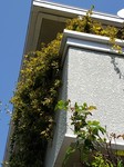 20200404_122940.jpg