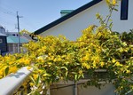 20200404_121544.jpg