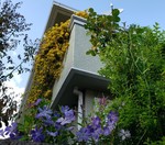 20200420_163558.jpg