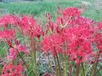 20200930_172854.jpg
