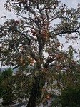 20200930_172321.jpg