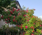 20210527_115847.jpg