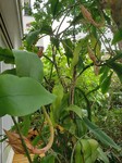 20210930_130521.jpg