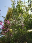 20220410_092332.jpg