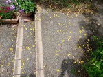 20220423_112450.jpg