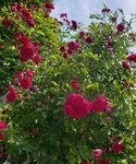 20220525_110504.jpg