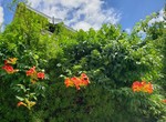 20220723_114336.jpg