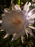 20220828_212251.jpg