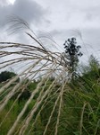 20220923_141610.jpg