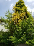 20230420_111356.jpg