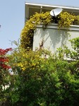 20230420_111411.jpg