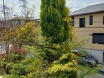 20230418_095557.jpg