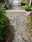 20230420_111343.jpg