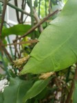 20230824_120901.jpg