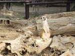 20231026_143622.jpg