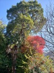 20231126_122115.jpg