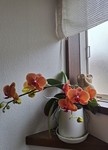 20240625_113707.jpg