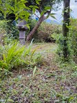20240629_190321.jpg