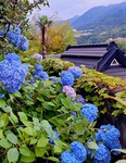 20240629_190112.jpg