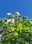 20240828_091039.jpg