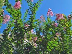 20240828_091104.jpg