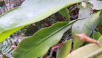 20240830_112931.jpg