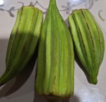 20240922_211943.jpg