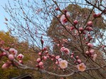 20250322_180219.jpg