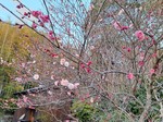 20250322_180656.jpg