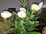 20250516_184542.jpg