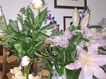20250516_184533.jpg